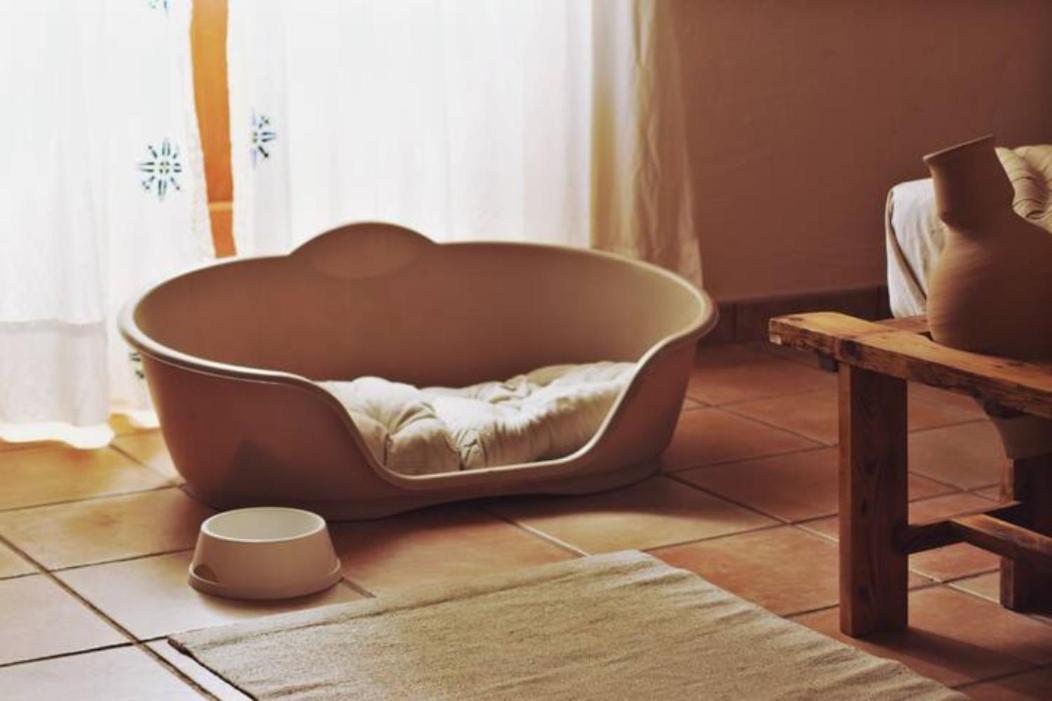 Casa Rural Cal Baté, foto 4